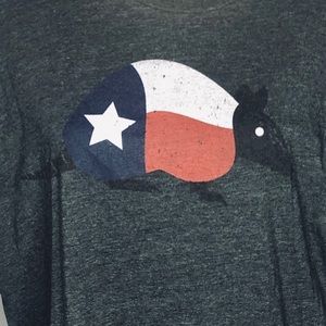 Texas Flag Armadillo Graphic Dark Gray T-Shirt XL